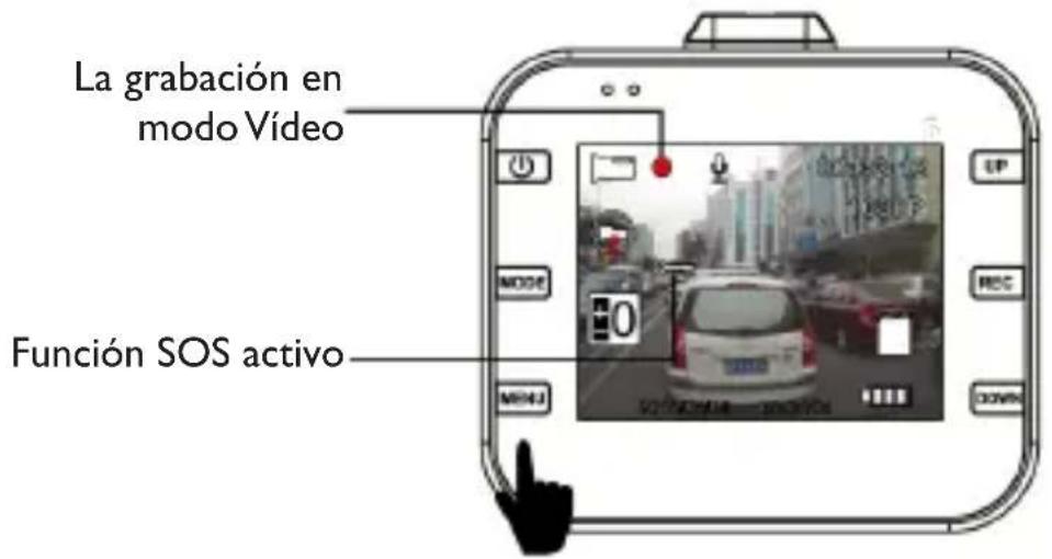 Trevi DV 5000 - Descripción: - 1