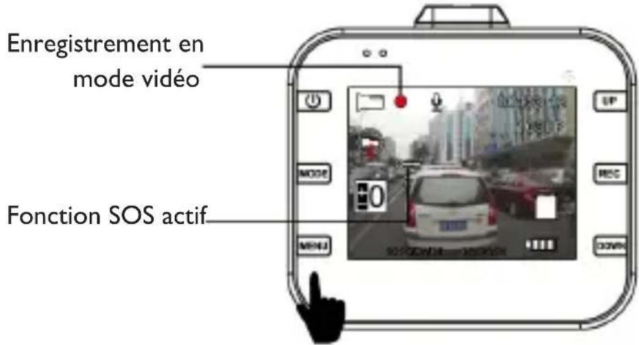 Trevi DV 5000 - Description: - 1