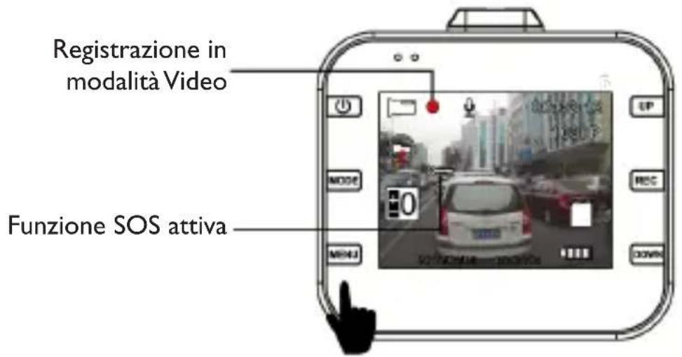 Trevi DV 5000 - Descrizione: - 1