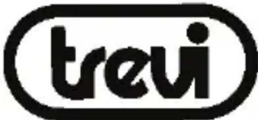 Trevi TFit 250 GPS - Advertencias para la correcta eliminacion del producto - 1