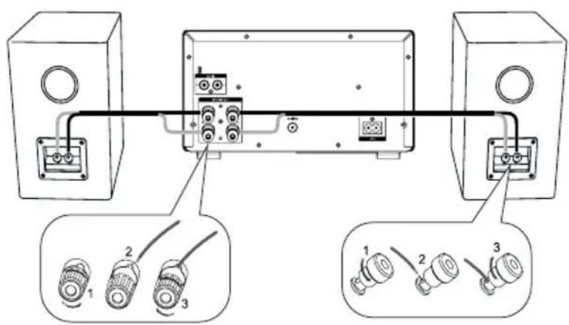 Krüger&Matz KM1598D - Connexion des enceintes - 1