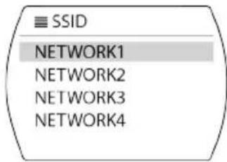 View Quest SusieQ - Network Wizard - 4