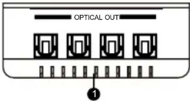 OPTICAL OUT 1