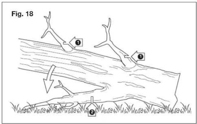 Sun Joe SWJ599E - - Felling a tree - 3