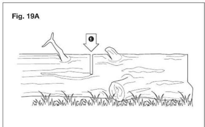 Sun Joe SWJ599E - - Felling a tree - 4