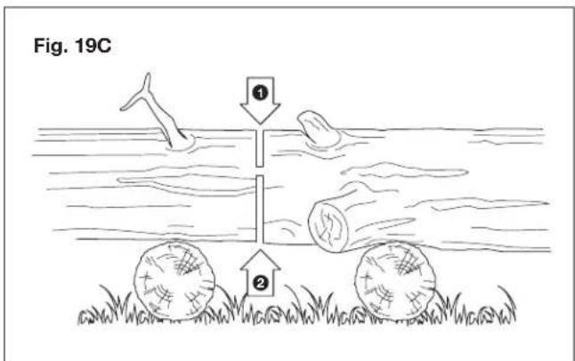 Sun Joe SWJ599E - - Felling a tree - 6