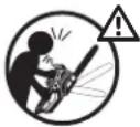 Sun Joe SWJ599E - Safety Symbols - 11