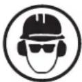 Sun Joe SWJ599E - Safety Symbols - 4