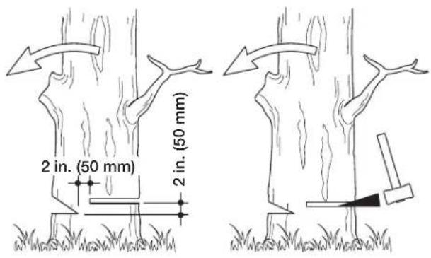 Sun Joe SWJ599E - - Felling a tree - 2