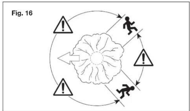 Sun Joe SWJ599E - - Felling a tree - 1