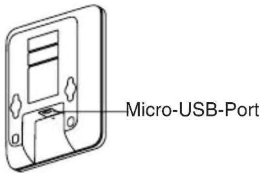 Micro-USB-Port
