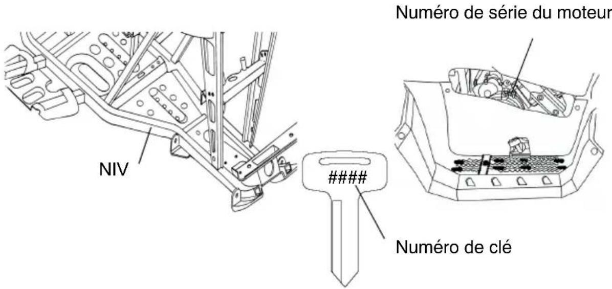 POLARIS Sportsman 500 EFI (2009) - Numéros d'identification du véhicule - 1