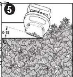 BLACK & DECKER LHT2436 - PODADO DE PLANTAS JÓVENES (Figura 5) - - 1