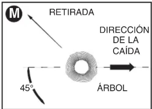 BLACK & DECKER CS1518 - TÉCNICAS DE CORTE COMUNES Tala - 1