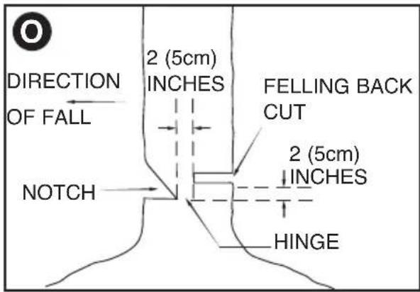 BLACK & DECKER CS1518 - COMMON CUTTING TECHNIQUES Felling - 3