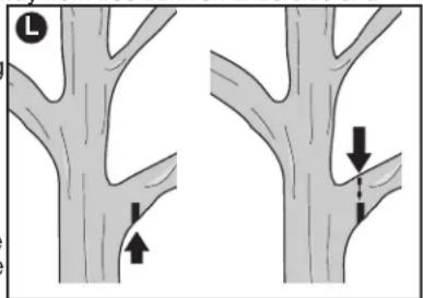 BLACK & DECKER PP610 - Follow directions below to trim a tree. - 1