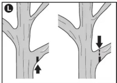 BLACK & DECKER PP610 - Suivre les instructions ci-dessous pour tailler un arbre. - 1