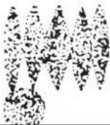 WAGNER HeavyCoat 750 G - Problème - 4