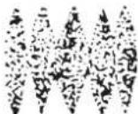 WAGNER HeavyCoat 750 G - PROBLEM - 4