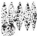 WAGNER HeavyCoat 750 G - PROBLEM - 4