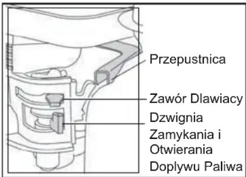 Lescha BELLE RPC 6080 - Silnik Benzynowy Honda - 1