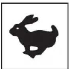 Lescha BELLE PCX 500 - B - Noise Decal (800-99942) - 1