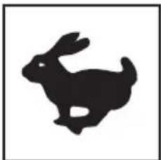Lescha BELLE PCX 500 - C - symbol - otáčky motoru - 1