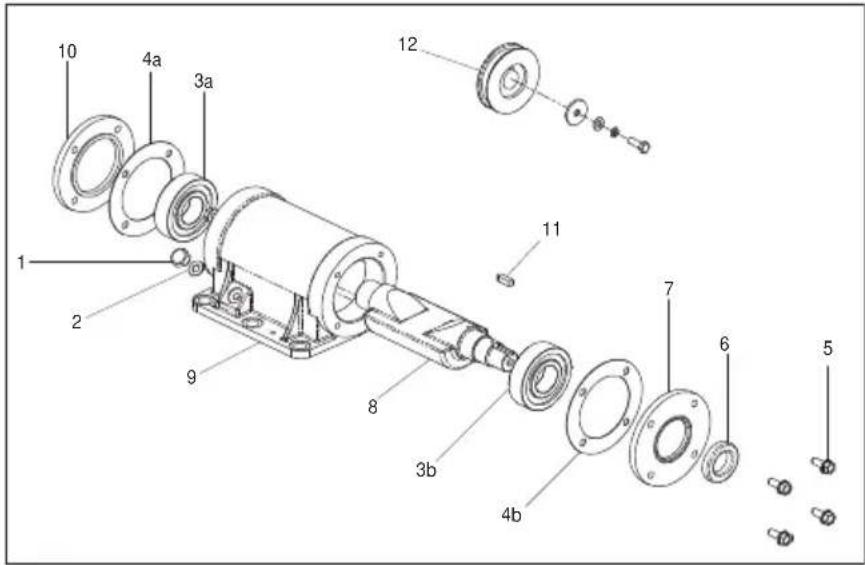 Lescha BELLE PCX 500 - Instructions de Montage - 1