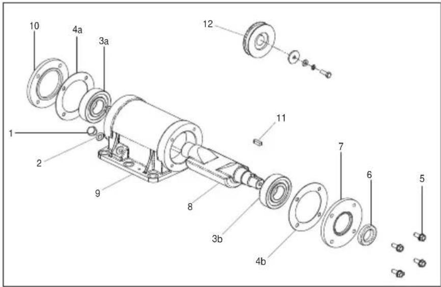 Lescha BELLE PCX 500 - Vibratorens montasjeveiledning - 1