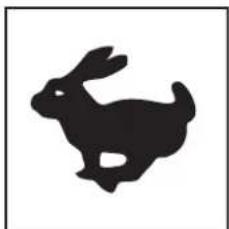 Lescha BELLE PCLX 400 - B - Noise Decal (800-99942) - 1