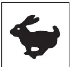 Lescha BELLE PCX 1340 - B - Noise Decal (800-99942) - 1