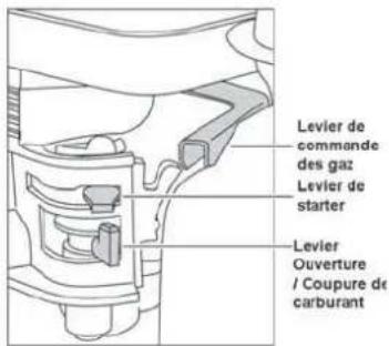 Lescha BELLE RPC 4560 - Moteur à essence Honda - 1