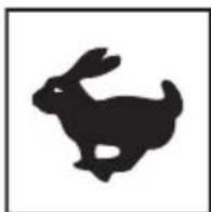 Lescha BELLE PCX 60A - B - Noise Decal (800-99942) - 1