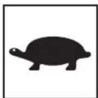Lescha BELLE PCX 60A - B - Noise Decal (800-99942) - 2