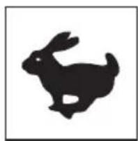 Lescha BELLE PCX 1750A - B - Noise Decal (800/99951) - 1