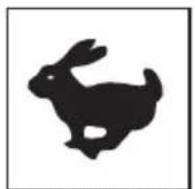 Lescha BELLE PCX 20A - B - Noise Decal (800-99942) - 1