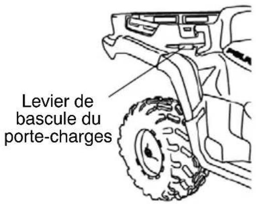 POLARIS Sportsman 500 X2 Quadricycle (2007) - Transport d'un chargement Déchargement de la cargaison - 2