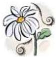 PALMAKO Valentine - Vispārīga informācija - 1
