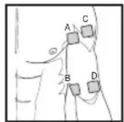 BEURER EM 59 - Rapport des électrodes avec le cours des fibres musculaires - 1