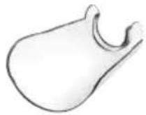 BEURER MP 84 - Protective nail dust cap 19 - 1