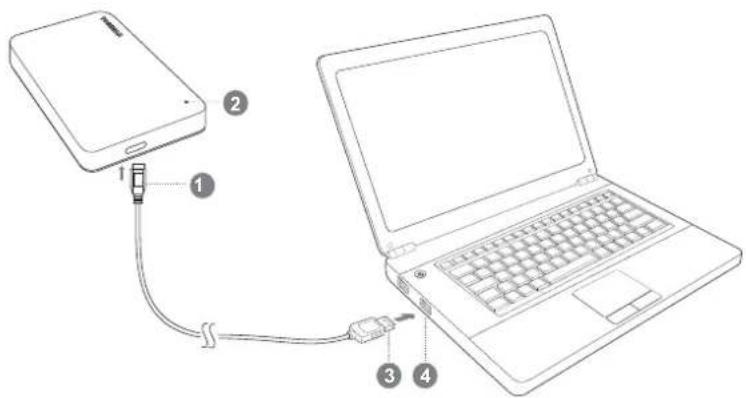TOSHIBA Canvio Basics USBC - Подключени диска К компьЮтуру - 1