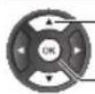 PANASONIC TX24GW324 - Selezionare la voce - 5