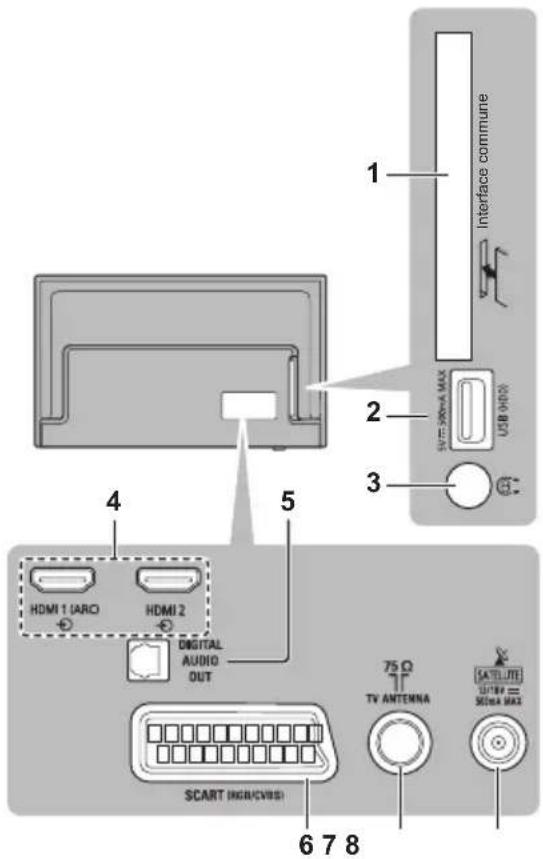 PANASONIC TX24GW324 - Terminaux - 1