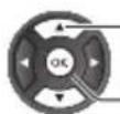 PANASONIC TX24GW324 - Selezionare [Installazione satelliti] / [Installazione via antenna/cavo] - 1