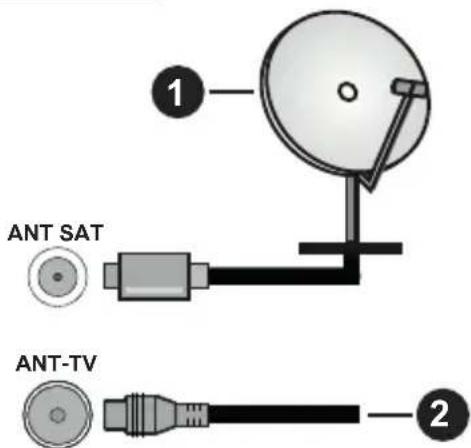 PANASONIC TX43HXW584 - Antenna Connection - 1