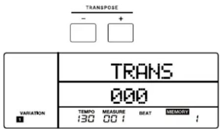ROLAND EX50 - Transpose - 2