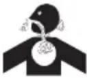 TROY-BILT Storm Tracker 2890 - SAFETY SYMBOLS - 6