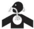 TROY-BILT Storm Tracker 2890 - SAFETY SYMBOLS - 6