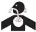 TROY-BILT Arctic Storm 30 - SAFETY SYMBOLS - 6