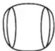 Osann One 360 - Head cushion & comfort insert - 1